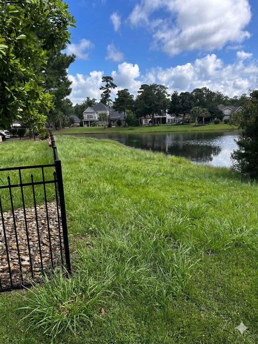 Before Lawn Care